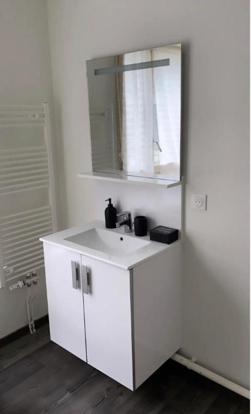 Appartement Cosy Et Bien Equipe 낭테르 외부 사진